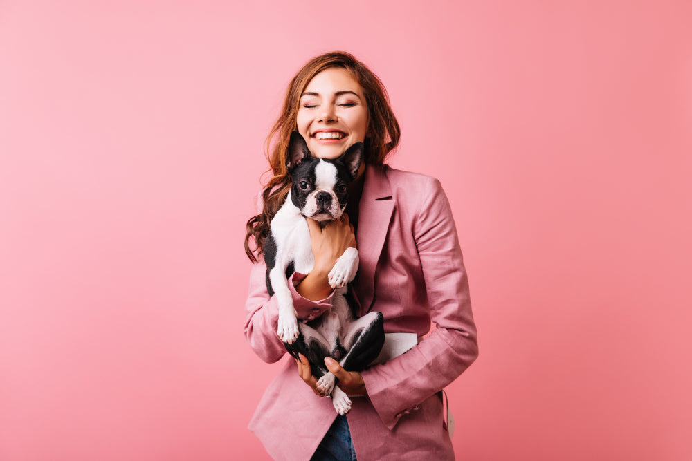Bark & Sniff: The Ultimate Guide to Doggy Delights